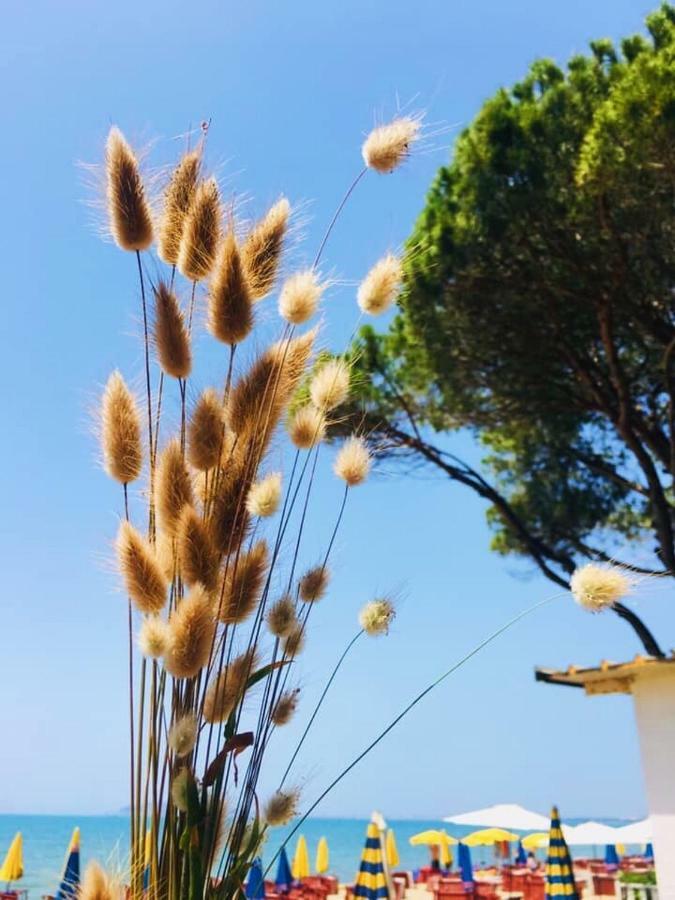 Holiday Home Pishat E Buta 28 غوليم المظهر الخارجي الصورة